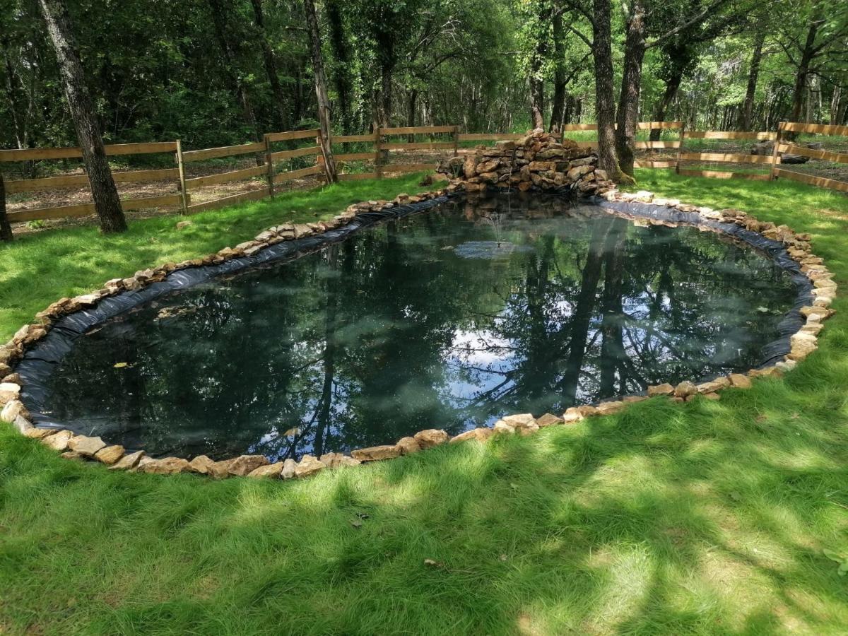 7-Gite-7 Personnes Au Coeur De La Nature /Piscine Saint-Aubin-de-Nabirat Ngoại thất bức ảnh